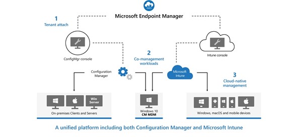Microsoft Endpoint Manager